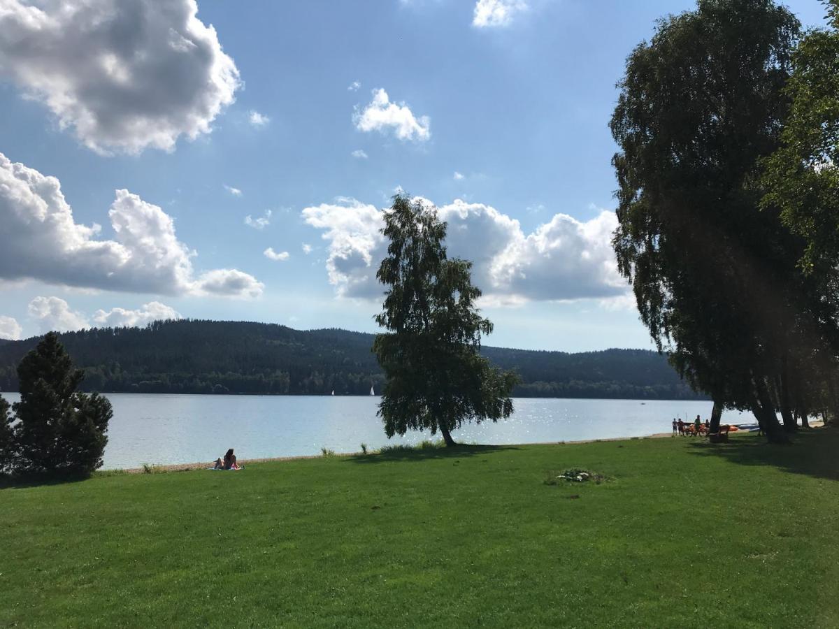 Luxury Apartman Lipno 伏尔塔瓦河畔利普诺 外观 照片