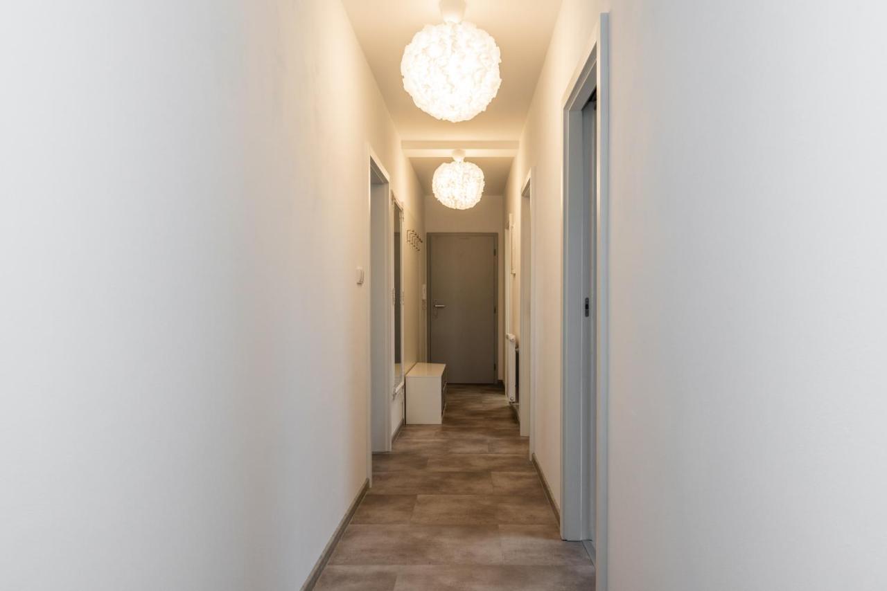 Luxury Apartman Lipno 伏尔塔瓦河畔利普诺 外观 照片
